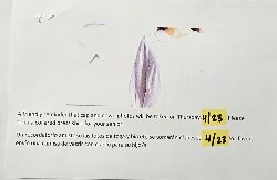 Information Flyer
